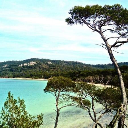 Ile De Porquerolles : T3 Climatise Vue Mer Esterno foto