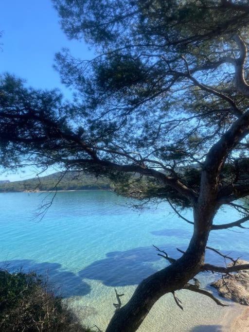 Ile De Porquerolles : T3 Climatise Vue Mer Esterno foto