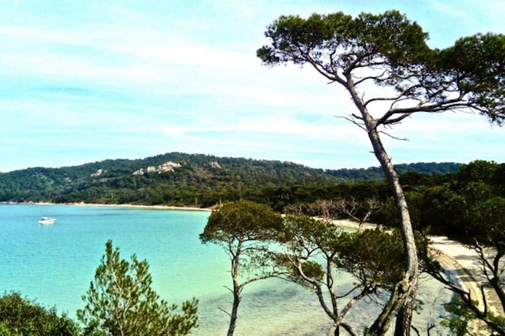 Ile De Porquerolles : T3 Climatise Vue Mer Esterno foto